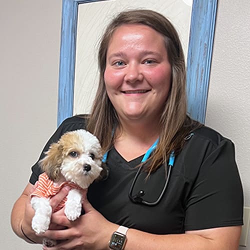 Dr. Alex McCafferty, Picayune Veterinarian